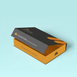 Custom Printed Influencer Boxes