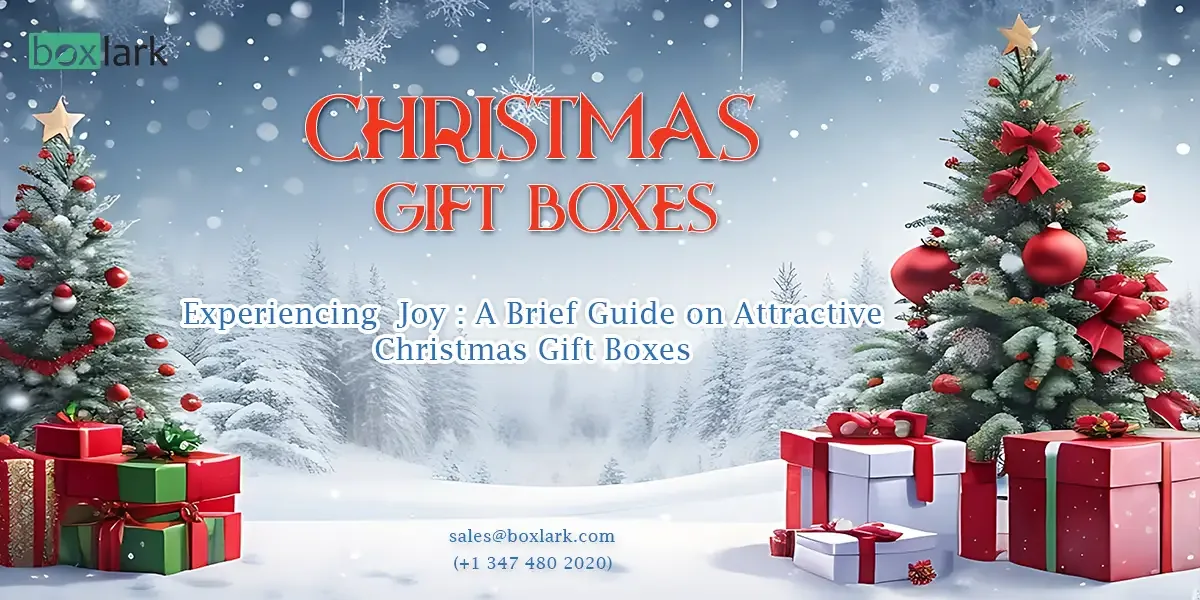 Attractive Christmas Gift Boxes