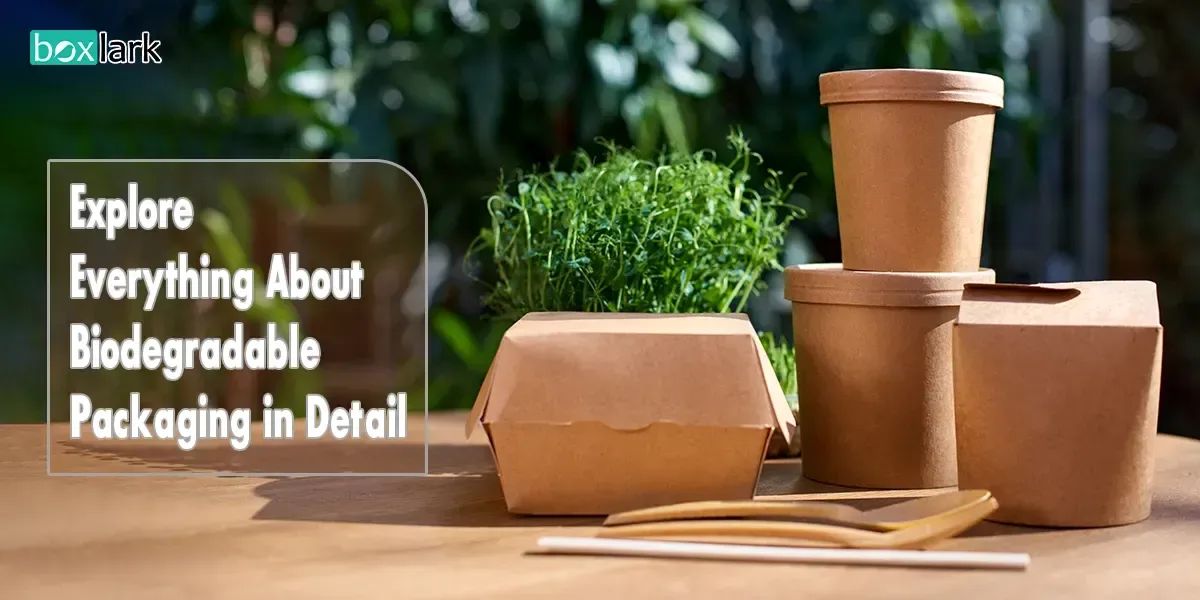Explore Everything About Biodegradable Packaging in Detail