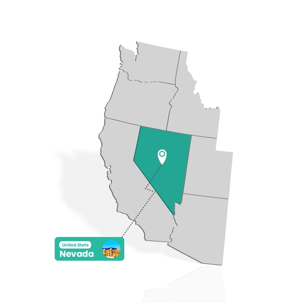 Custom Boxes Nevada