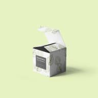 Seed Boxes Wholesale