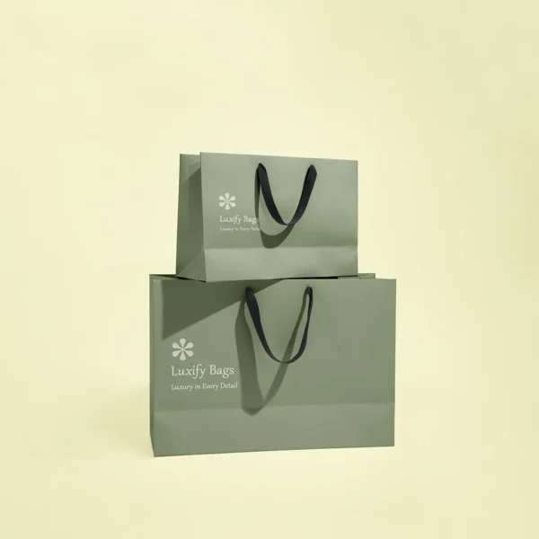 Shopping Packaging Bags